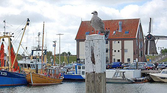 Hafeneinfahrt Texel